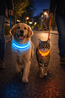 PetSafe Light